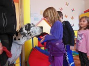 Bezpečný pes - kynologie